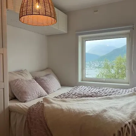 En Koselig Og Sentral Apartment